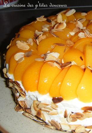Entremet abricot , coco , choco , coeur de macaron ! DSCF0834