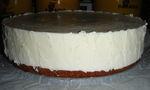 Entremet abricot , coco , choco , coeur de macaron ! DSCF0806