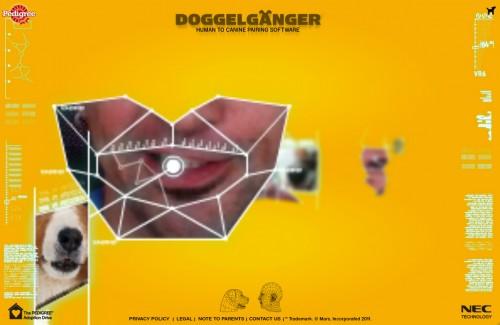 Pedigree, Doggelganger 21 pedigree doggelganger 04 500x325 Doggelganger, trouvez le chien qui vous ressemble