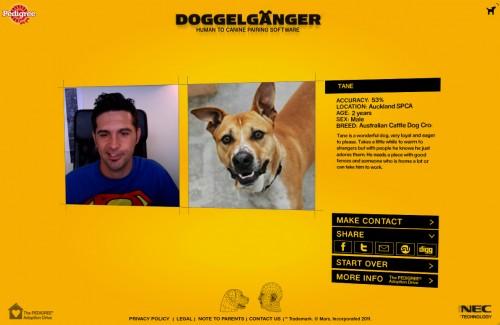 Pedigree, Doggelganger 21 pedigree doggelganger 05 500x325 Doggelganger, trouvez le chien qui vous ressemble