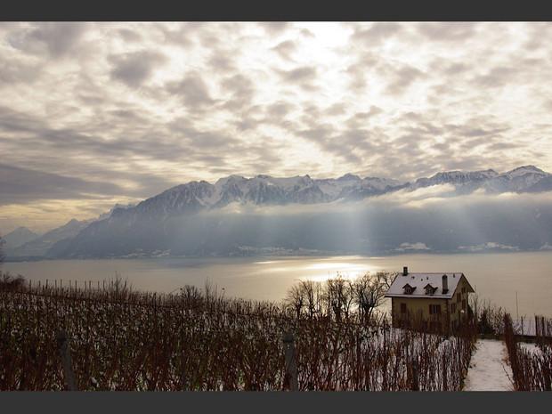Une vue sur le lac Léman depuis un vignoble en terrasse, dans la région du Lavaux, en Suisse. Une vue sur le lac Léman depuis un vignoble en terrasse, dans la région du Lavaux, en Suisse.