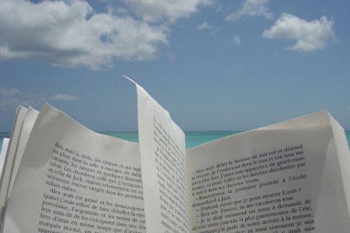 livreplage Où les membres se réunissent autour du thème des vacances