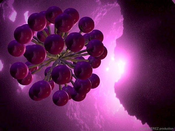 Nanoparticules et cosmétique : dernières nouvelles 6a00e5500b4a648833010535800dc5970b-800wi.jpg
