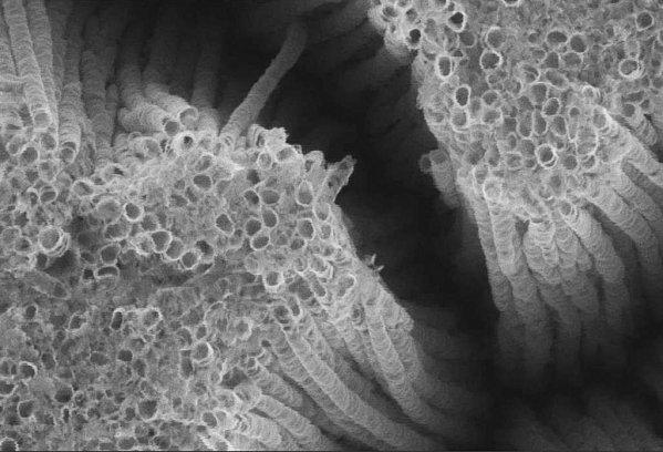 Nanoparticules et cosmétique : dernières nouvelles TiO2nanotube.jpg