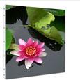 tableau fleur tableau fleur