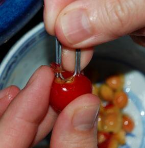 griotte-denoyautage-1 griotte-denoyautage