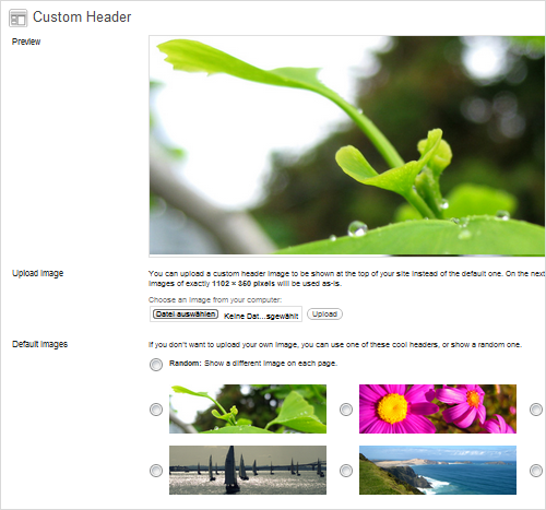 customheader Yoko : Thème HTML5/CSS3 pour WordPress 3.1