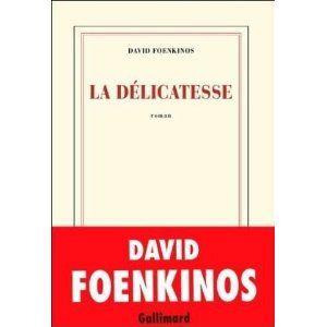 La_d_licatesse_David_Foenkinos_Les_lectures_de_Liliba
