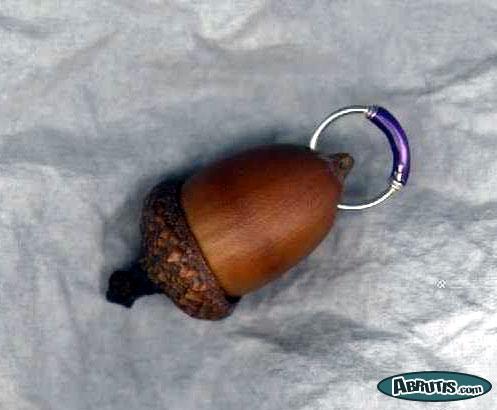 Mon piercing du Gland