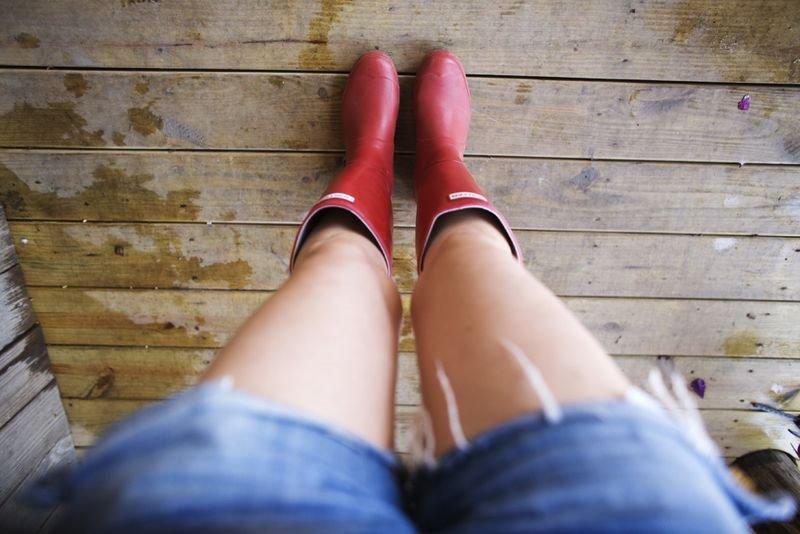 garden 00 My pretty garden