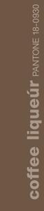 fashion color report fall 2011 #2 color_coffee_liqueur