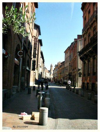 TOULOUSE 10
