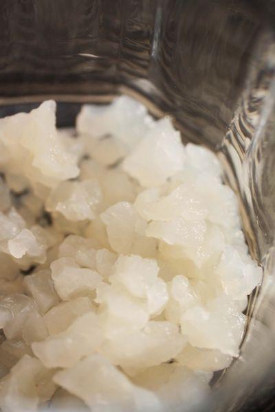 Souches de Kéfir Souches de Kéfir