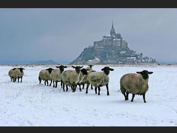 Des grévins devant le Mont-Saint-Michel, dans la Manche (Basse-Normandie, France). Des grévins devant le Mont-Saint-Michel, dans la Manche (Basse-Normandie, France).