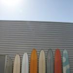 IMG_0681 IMG_0681