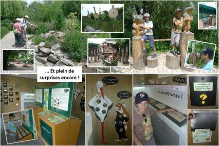 J'ai testé... Des activités à succès : en vadrouille en Alsace avec cigognes, caves à vin, chateau fort, cité de l'auto... Blog_Hunawihr_parc_cigognes__4_