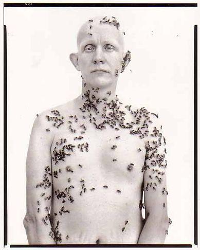 apiculteur Photographes américains : Irving Penn