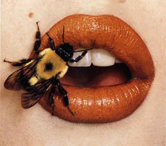 irving_penn_bee_on_lips_1995 Photographes américains : Irving Penn