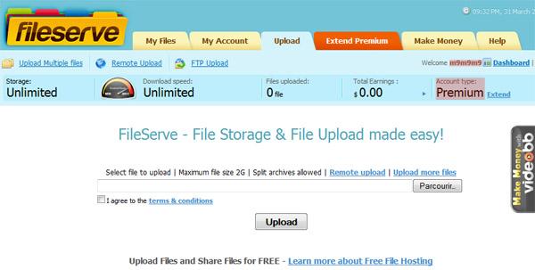 cookie fileserve 6 Un compte premium pour Megaupload, Fileserve, etc...