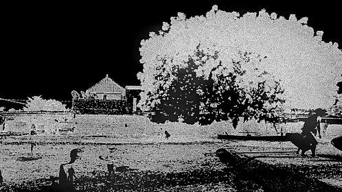 michel tabanou grand-arbre.jpg