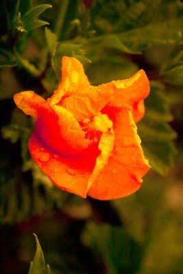soir d'orage soir d'orage