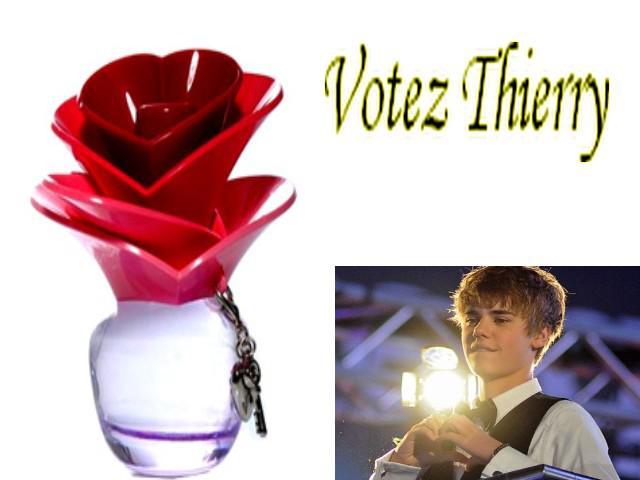Votez Thierry Bieber ! Hebergeur d'image