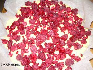 GATEAU AUX FRAMBOISES 030