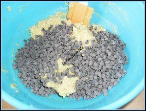 Cookies aux pépites de chocolat SAM_6849