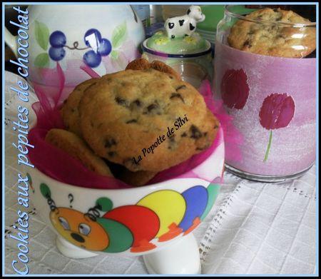 Cookies aux pépites de chocolat SAM_6872