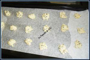Cookies aux pépites de chocolat SAM_6862