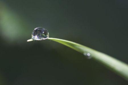 Vacuité et mystère goutte