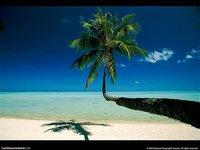 COSA MUSICA @ LE GECKO//ven 1/07/11// COSA MUSICA @ LE GECKO//ven 1/07/11//