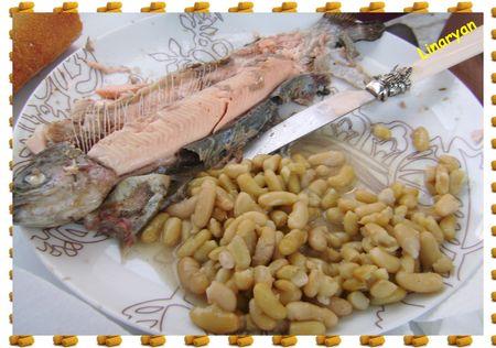 Truites & maïs au barbecue IMGP0584