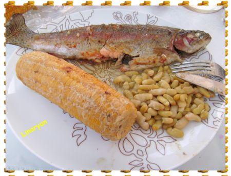 Truites & maïs au barbecue IMGP0590