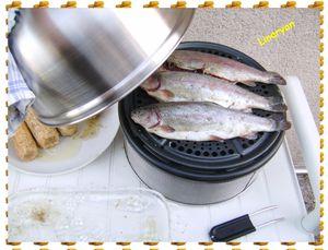 Truites & maïs au barbecue IMGP0582