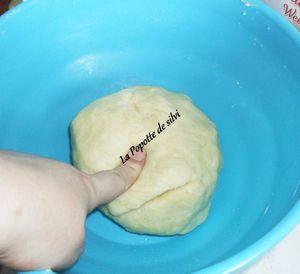 Bourek B'l Djina (Brik a la pate menagere) SAM_6819