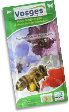 environnement,biodiversité,nature,abeille,pollinisation,agriculture,collectivités locales
