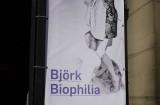 P1010547 160x105 Björk et son projet Biophilia