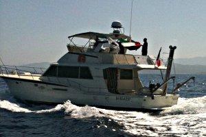 la flottille de Gaza n'est pas coulée
