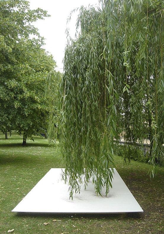 Vite, de l'Arbre TimKnowles_1.jpeg