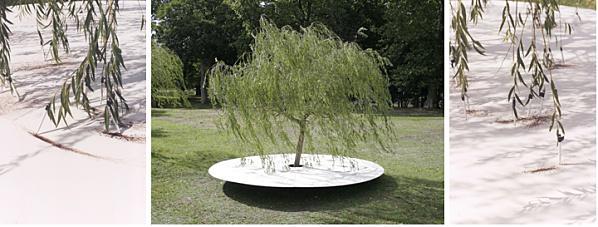 Vite, de l'Arbre Image-2-copie-2.png