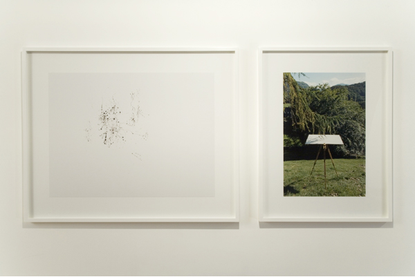 Vite, de l'Arbre Image-4-copie-1.png