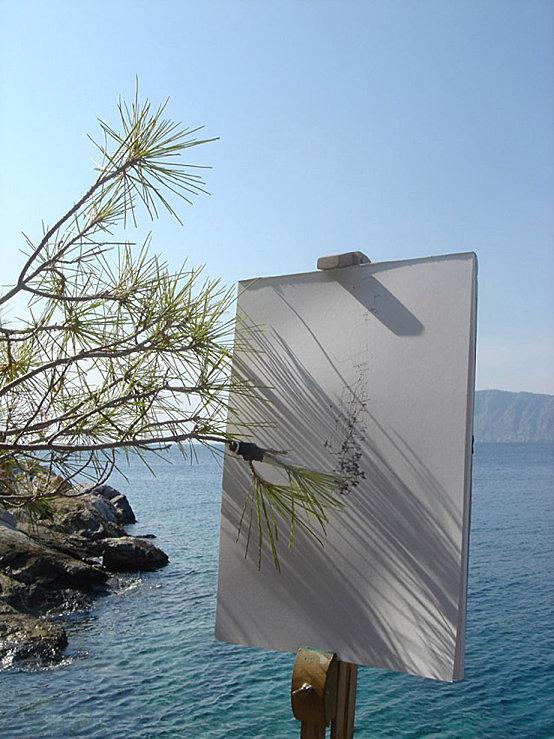 Vite, de l'Arbre TimKnowles_6.jpeg