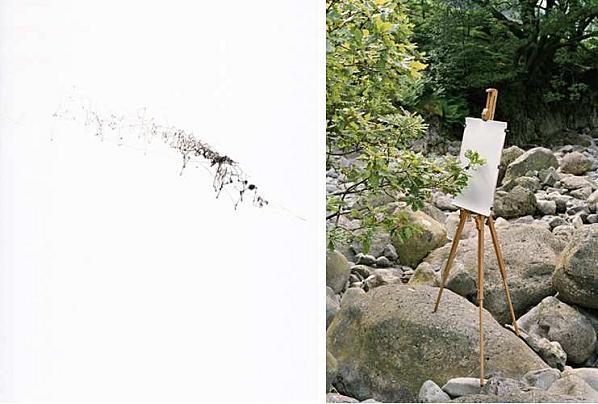 Vite, de l'Arbre Image-5-copie-1.png