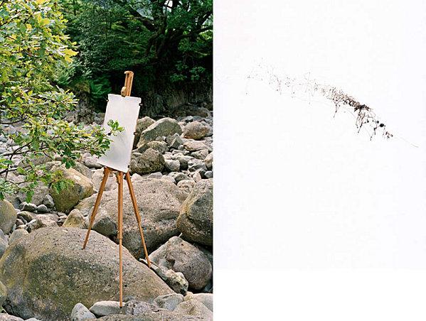 Vite, de l'Arbre TimKnowles_3.jpeg