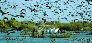Le Delta du Saloum inscrit au patrimoine mondial de l’UNESCO