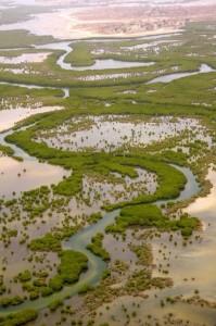 Le Delta du Saloum inscrit au patrimoine mondial de l’UNESCO