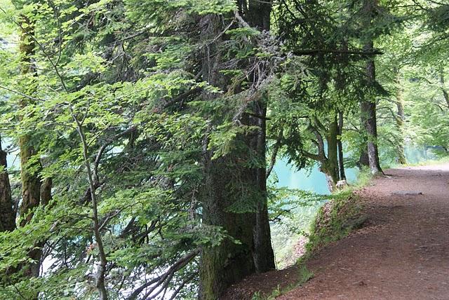 Lac Pavin Auvergne Lac Pavin Auvergne