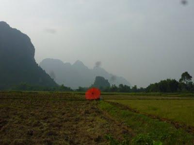 122. Tubing or not tubing ? Vang Vien, ou djeunes-city 122. Tubing or not tubing ? Vang Vien, ou djeunes-city