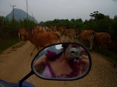 122. Tubing or not tubing ? Vang Vien, ou djeunes-city 122. Tubing or not tubing ? Vang Vien, ou djeunes-city